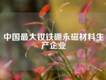 中国最大钕铁硼永磁材料生产企业