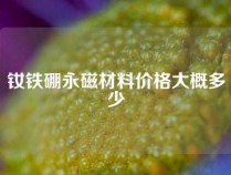 钕铁硼永磁材料价格大概多少