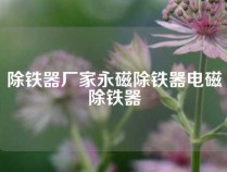 除铁器厂家永磁除铁器电磁除铁器