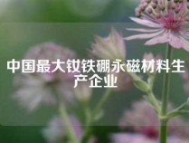 中国最大钕铁硼永磁材料生产企业