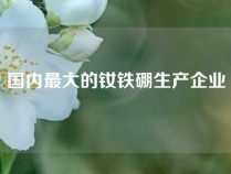 国内最大的钕铁硼生产企业