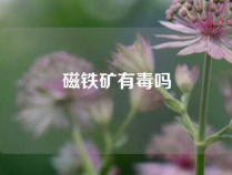 磁铁矿有毒吗