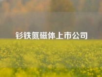 钐铁氮磁体上市公司