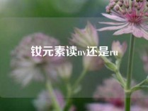 钕元素读nv还是ru