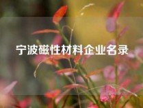 宁波磁性材料企业名录