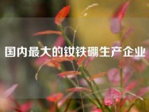 国内最大的钕铁硼生产企业