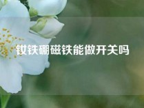 钕铁硼磁铁能做开关吗