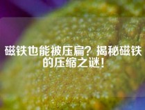 磁铁也能被压扁？揭秘磁铁的压缩之谜！