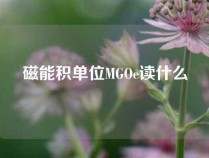 磁能积单位MGOe读什么