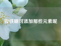 钕铁硼可添加那些元素呢