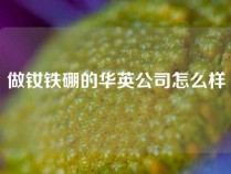 做钕铁硼的华英公司怎么样