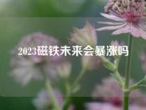 2023磁铁未来会暴涨吗