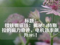 标题：
 钕铁硼磁铁：揭秘1.4特斯拉的磁力奇迹，电机效率飙升30%！