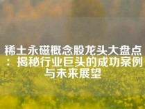 稀土永磁概念股龙头大盘点：揭秘行业巨头的成功案例与未来展望