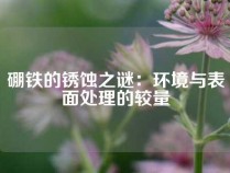 硼铁的锈蚀之谜：环境与表面处理的较量