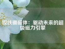 钕铁硼磁体：驱动未来的超级磁力引擎