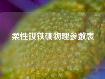 柔性钕铁硼物理参数表