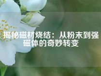 揭秘磁材烧结：从粉末到强磁体的奇妙转变