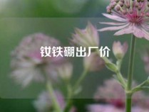 钕铁硼出厂价