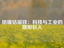 铝镍钴磁铁：科技与工业的隐形巨人