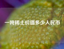 一吨稀土价值多少人民币