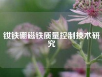 钕铁硼磁铁质量控制技术研究