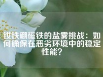 钕铁硼磁铁的盐雾挑战：如何确保在恶劣环境中的稳定性能？