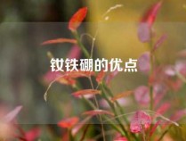 钕铁硼的优点