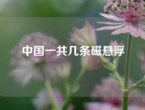 中国一共几条磁悬浮