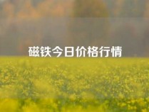 磁铁今日价格行情