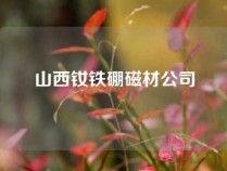 山西钕铁硼磁材公司