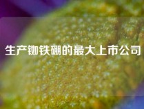 生产铷铁硼的最大上市公司