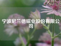 宁波尼兰德磁业股份有限公司