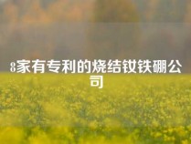 8家有专利的烧结钕铁硼公司