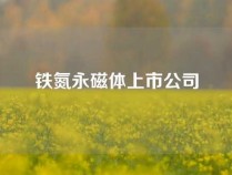 铁氮永磁体上市公司