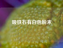 吸铁石有白色粉末