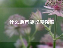 什么地方能收废强磁