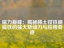 磁力巅峰：揭秘稀土钕铁硼磁铁的强大矫顽力与应用奇迹