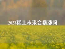 2023稀土未来会暴涨吗