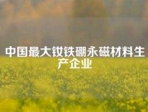 中国最大钕铁硼永磁材料生产企业