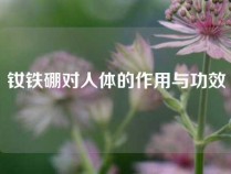 钕铁硼对人体的作用与功效