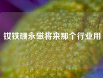 钕铁硼永磁将来那个行业用