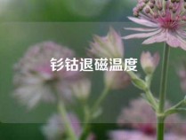 钐钴退磁温度