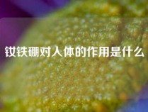 钕铁硼对人体的作用是什么