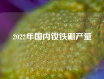 2022年国内钕铁硼产量