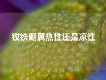 钕铁硼属热性还是凉性