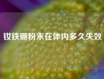 钕铁硼粉末在体内多久失效