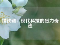 钕铁硼：现代科技的磁力奇迹