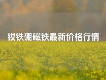 钕铁硼磁铁最新价格行情