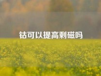 钴可以提高剩磁吗